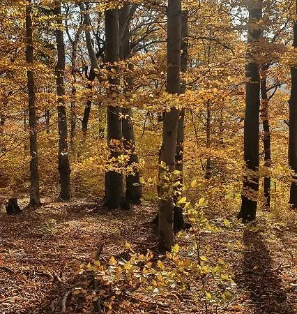 A&s - Relax 瓦乌布日赫