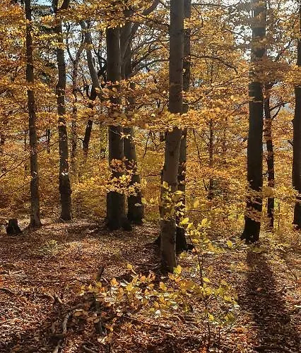 A&s - Relax Waldenburg