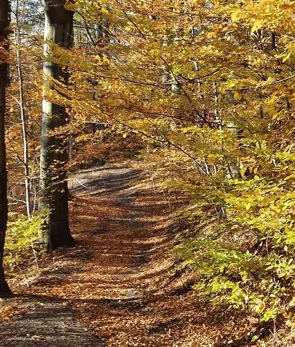 A&s - Relax Apartment Waldenburg